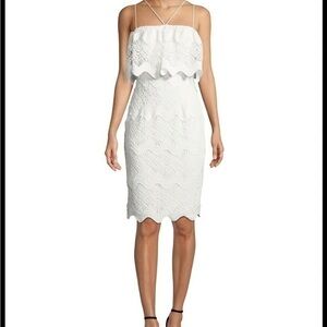 ▶️ Black Halo ◀️ Gwendolyn Scalloped Lace Cocktail Sheath Dress. Size 8